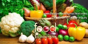 Food Processing Machines