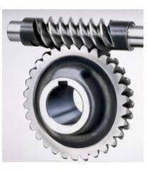 Alloy Steel Worm Gear
