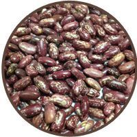 Dark Kidney Beans