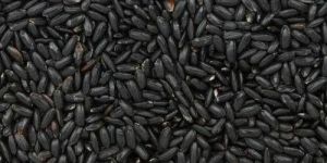 Black Organic Rice