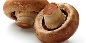 Portobello Mushroom