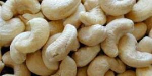 Cashew Nuts