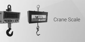 Crane Scale