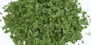 Freeze Dried Mint