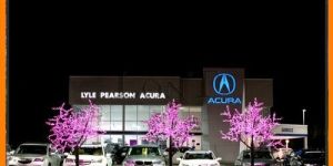 LED Tree String Lights