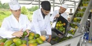 Fruit Juice Processing Plant