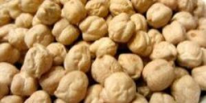 Kabuli Chickpeas