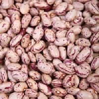 Light Speckled Kidney Beans