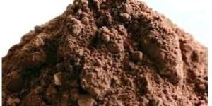 Cocoa Powder