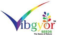 Sudan Grass, Onion, Wheat, Peddy