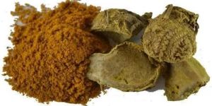 Amba Haldi Extract