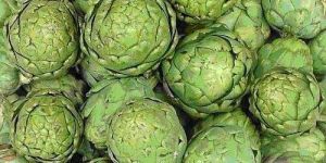 Artichoke Extract