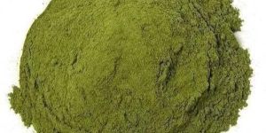 Broccoli Extract