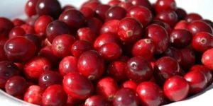 Cranberry Extract