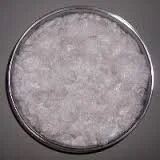 Saw Palmetto Extract