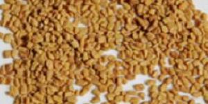 Fenugreek