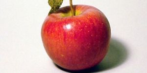 Indian Delicious Apples