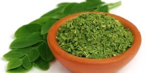 Organic Moringa Dried Leaves