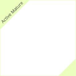 Modbus Slave Network Interface Module