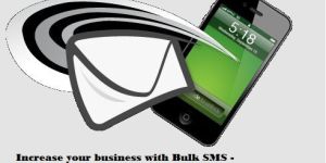 International Seo Service