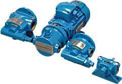 Rotary Pumps