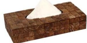 Coconut Shell Tissue Box