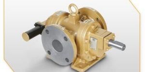 RDRN Pumps
