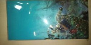 Festival Greeting Cards