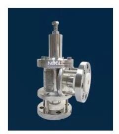 Pressure Safety Valve