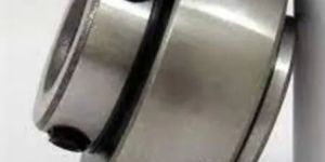 Polished UC Pillow Block Bearing