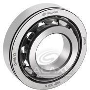 Cylindrical Roller Bearing