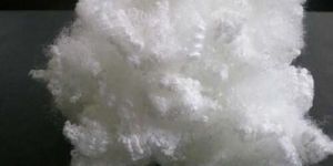 Polyester Fiber