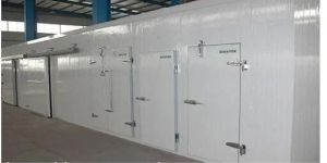 Banana Ripening Cold Room