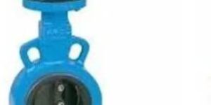 Butterfly Valve