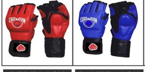 Martial Art Gloves
