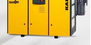 Rotary Screw Vacuum Pumps