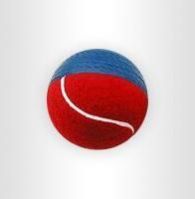 Cricket Ball