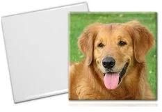 Sublimation Tiles