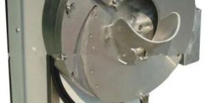 Ginger Processing Machine