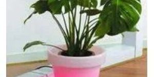LED Flower Pot