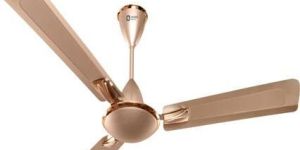 Oriented Ceiling Fan