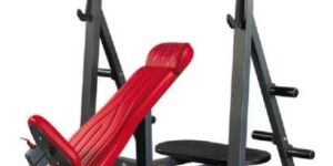 Dual Axis Incline Bench