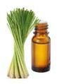 Lemongrass Oil