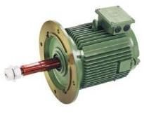 Cooling Tower Motors