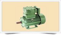 Flame Proof Motors