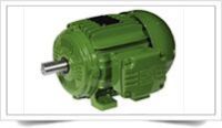 High Torque Motor
