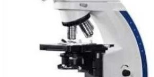 Zeiss Upright Microscope