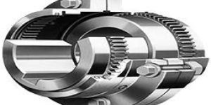 Gear Coupling