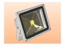 LED Flood Light