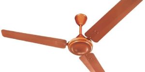 Ceiling Fans